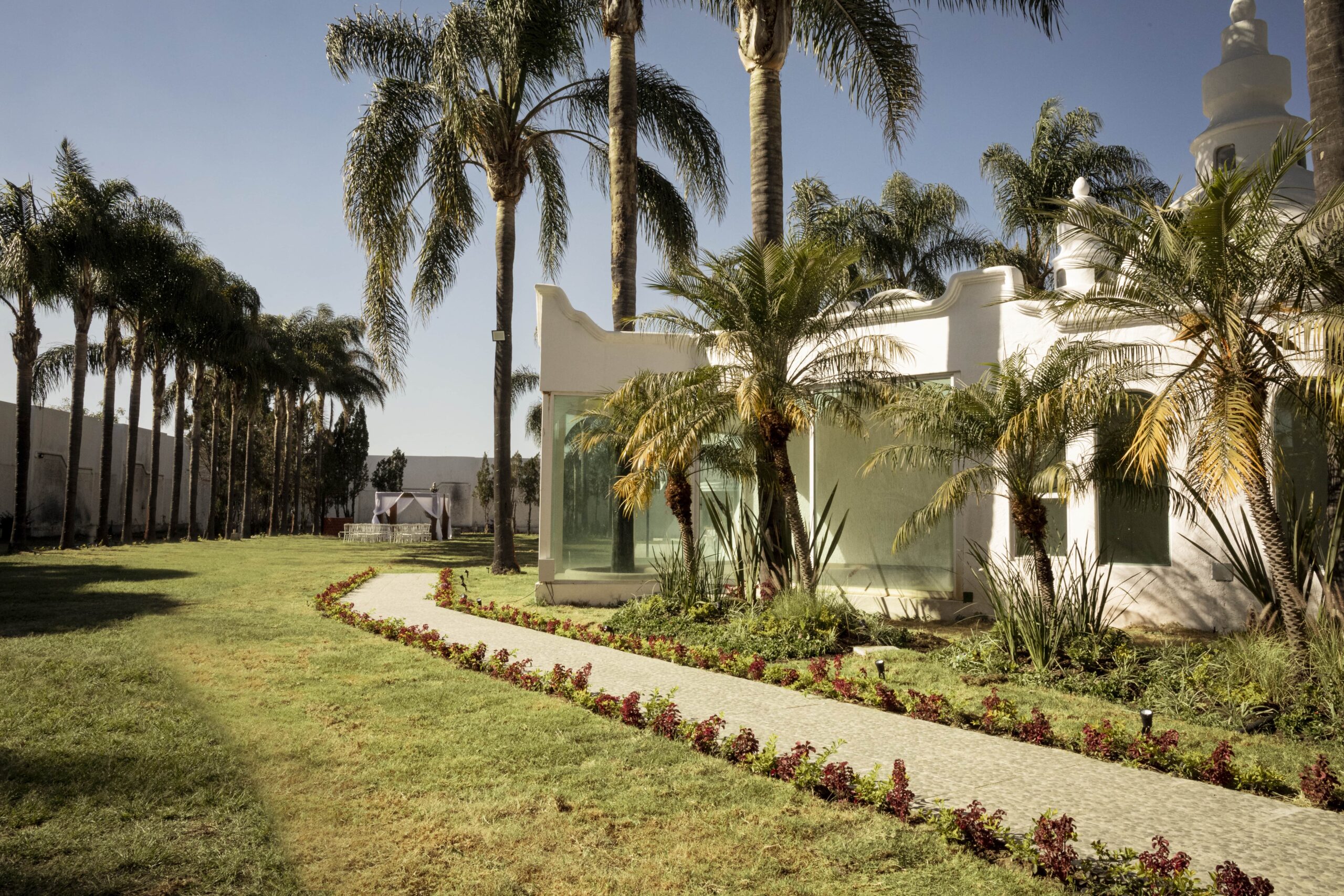 Jardín de Andira entre palmeras